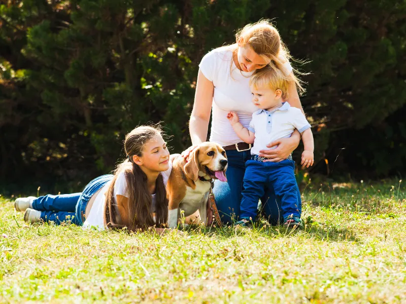 rv parks that allow dogs