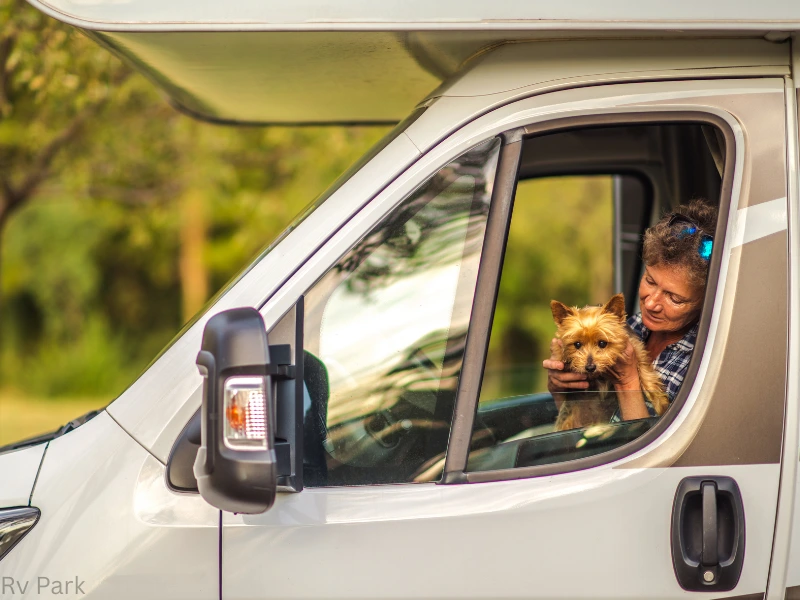 pet friendly and family friendly